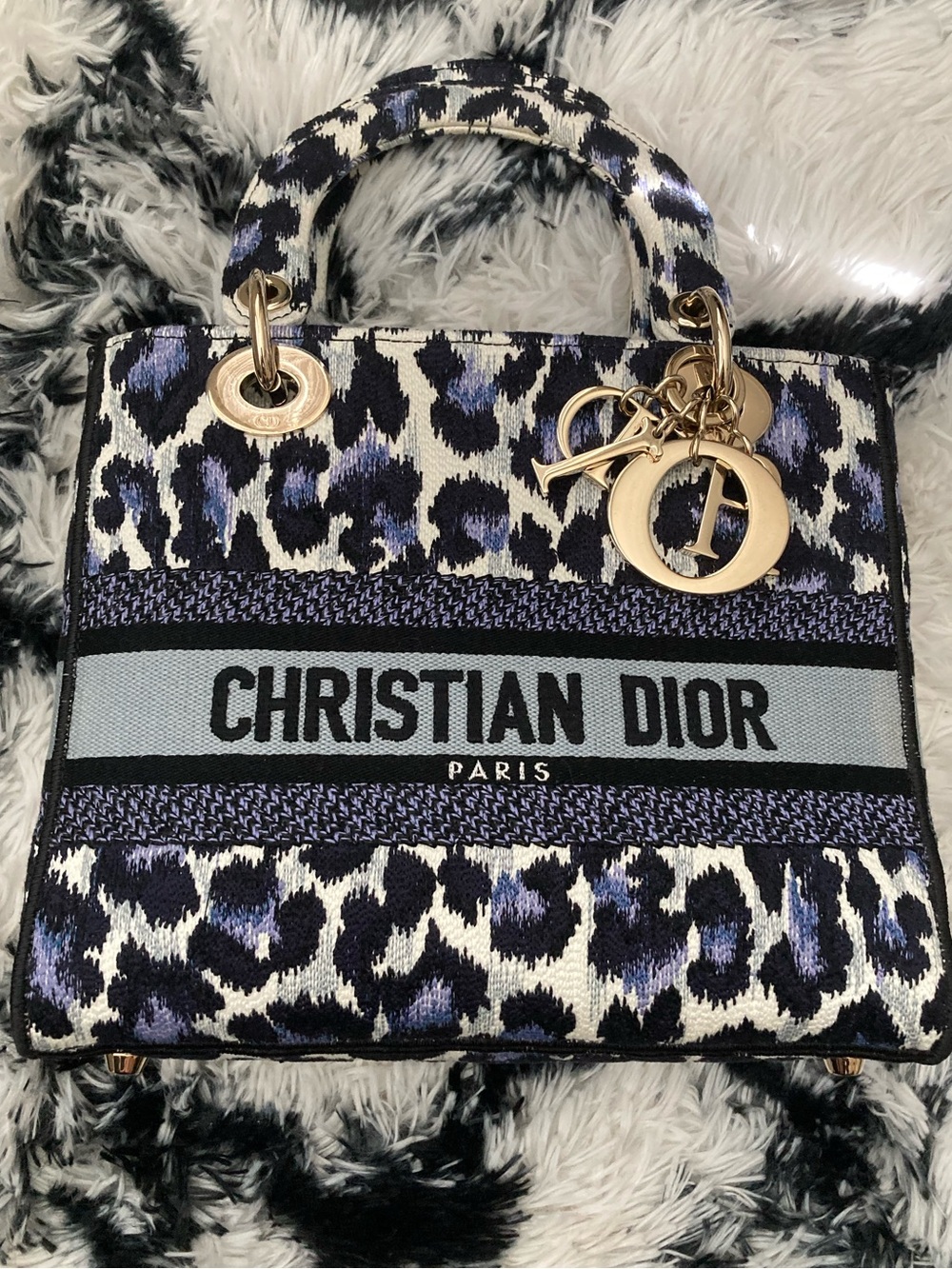 Dior Mitzvah D-lite Bag RARE